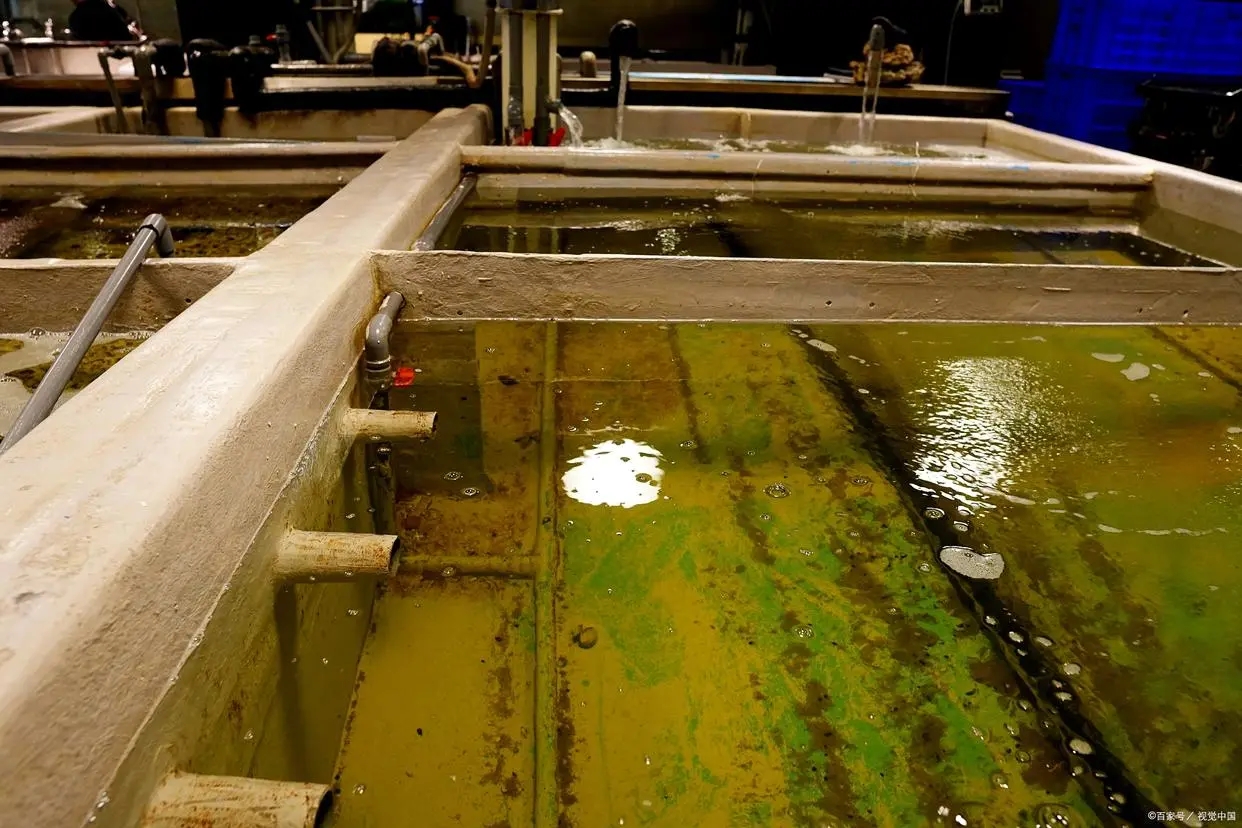 Demulsifiers for Oily Wastewater Treatment