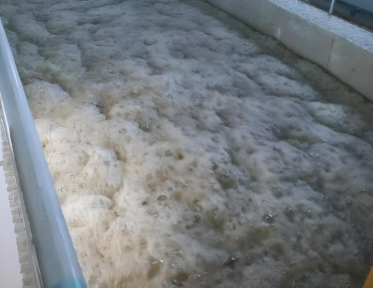 silicone defoamer