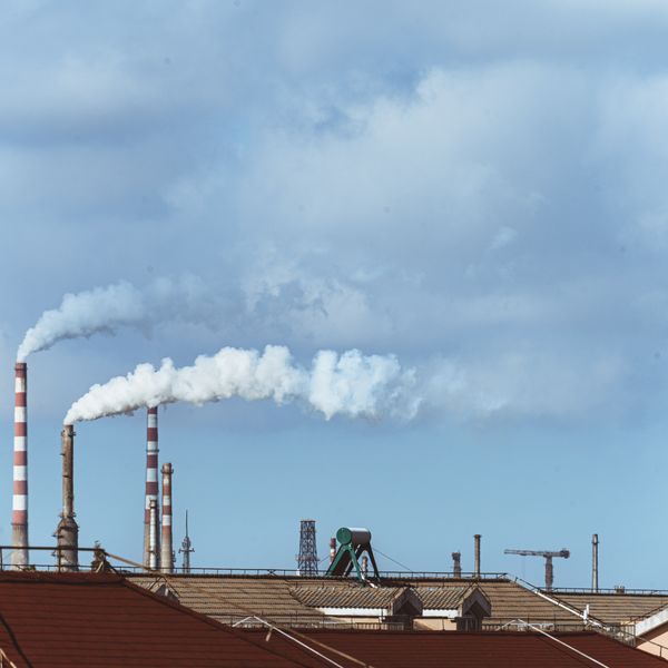 drier defoamer