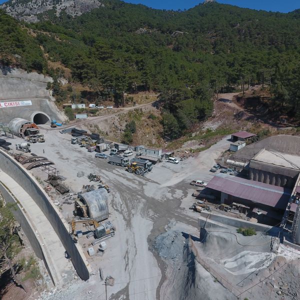 Gold ore flotation