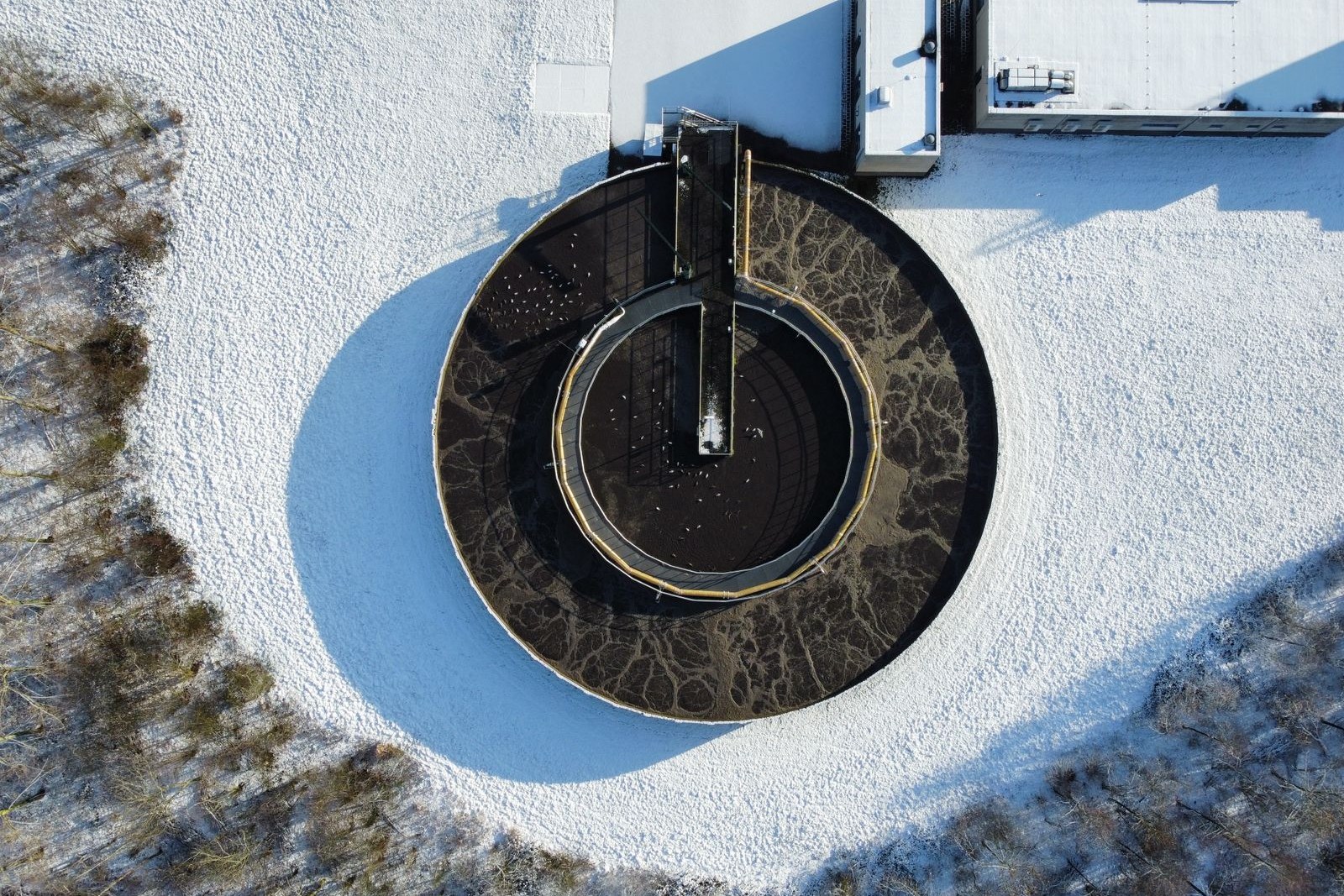 From the Aeration Tank Surface to the Clarifier Outlet, Once