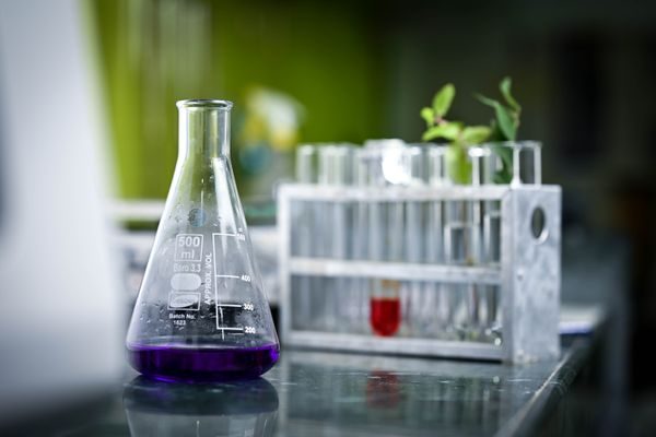 Silicone-Free Defoamers Rising? How to Adjust Formulations f