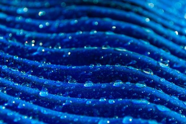 Solving the Anti-Wicking Challenge for Webbing: Chemi Tech's