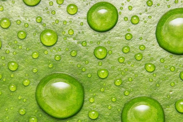 Chemi Tech Oil-Based Fluorine-Free Water Repellent: Lasting