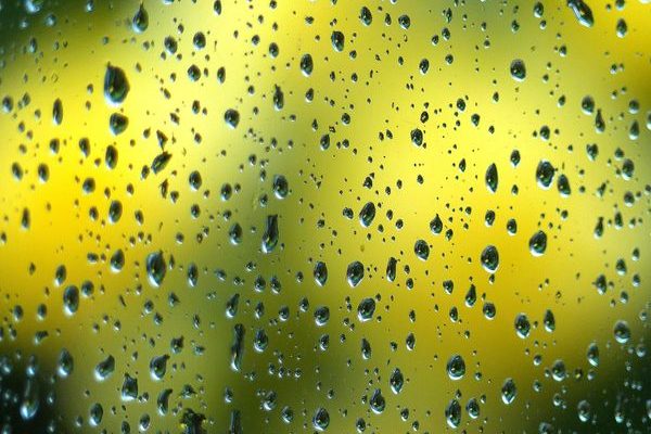 Oil-Based Fluorine-Free Water Repellent Solutions: Chemi Tec