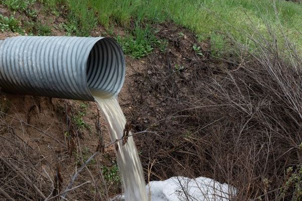 The Nemesis of Foam Problems in Natural Gas Desulfurization:
