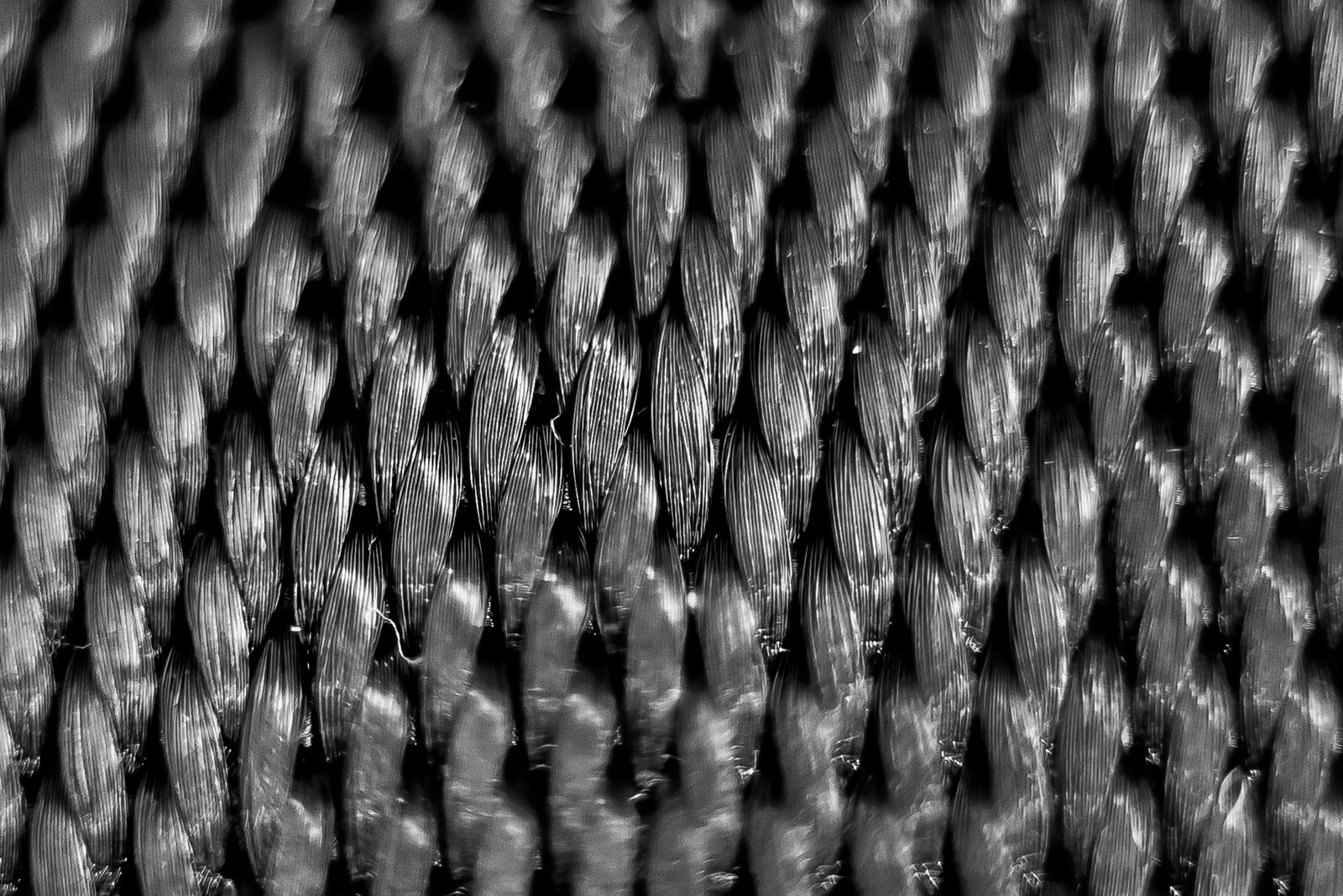 Water-Repellent Finish on Seat Fabrics: Rain-Test Stains Spr